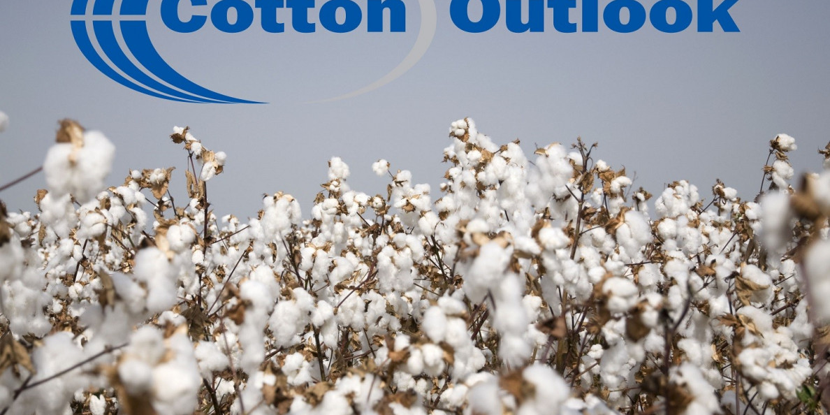 Cotton Outlook: June 2020 Market Summary